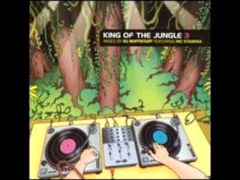 King of the Jungle 3: Mixed by DJ Ruffnstuff w/MC Stamina full mix