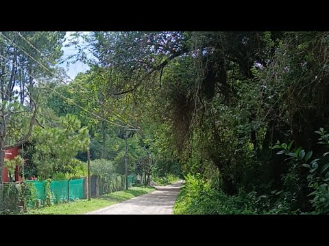 Vamos por Vaqueros Salta