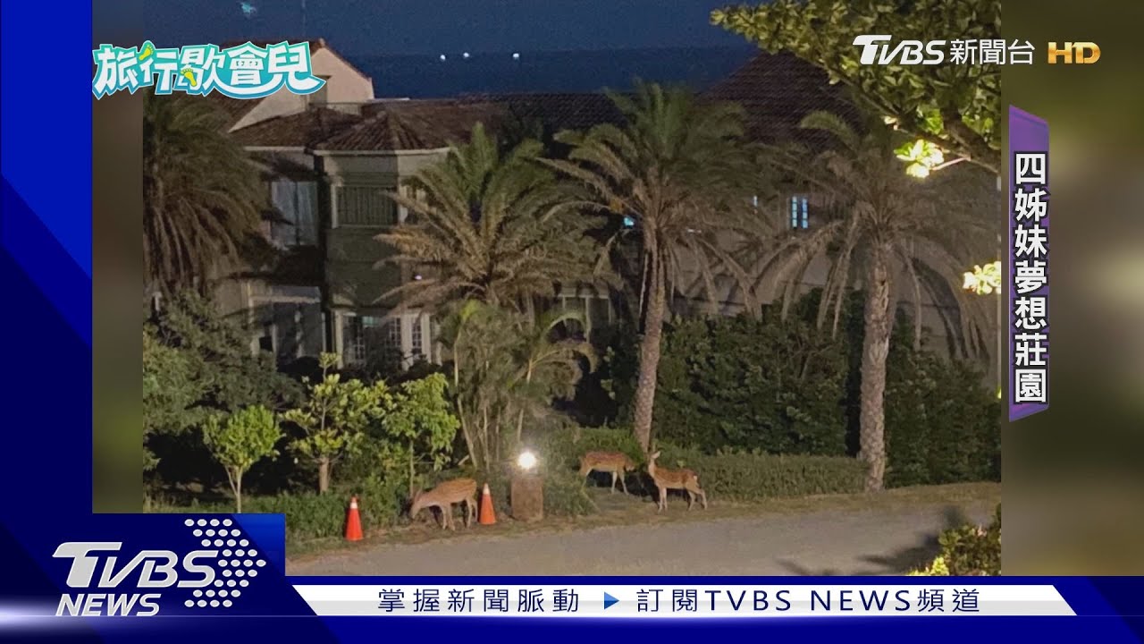 不只賣牛肉麵!完成退休夢想莊園 四姊妹提前分享遊客體驗