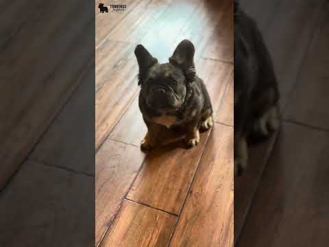 Video 2