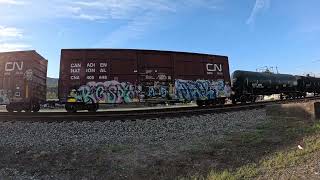 Norfolk Southern 123 rolling South in Rockwood Tennessee