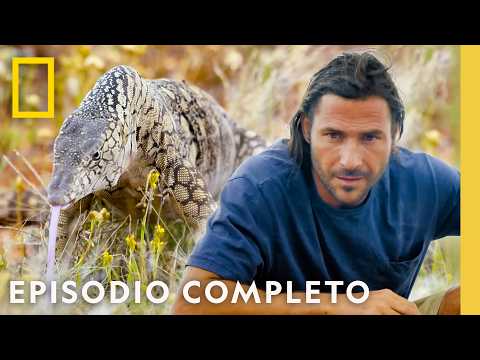 Desafío en el Desierto | Solo Contra El Mundo | Nat Geo en Español