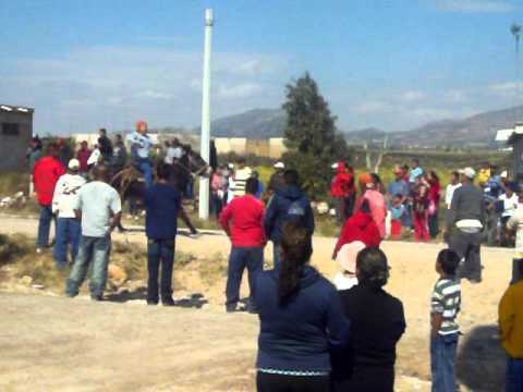 carreras de burros La victoria Pinos Zac la milpa 015.MOV