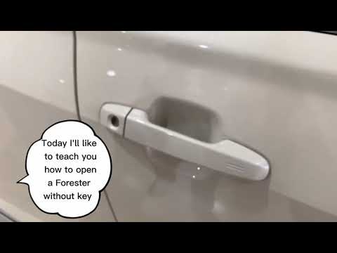 Subaru ✨ Pin Code Access Part 1 __ Create Password (Eng sub version)