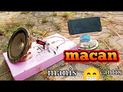 macan! 😁🐆 Amplifier TEA 2025 4 - 12 volt