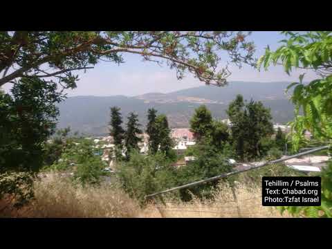 Tehilim Psalms Chapter 63