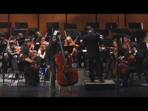 Double Bass Concerto - D. Dragonetti - Michael Scott (Professional Recording)