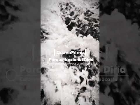 Descubra Santa Cruz, Parque Nacional Diría, Catarata Brasil, Santa Cruz Guanacaste Costa Rica.