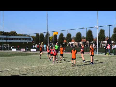 RUST ROEST D1   DSC D1