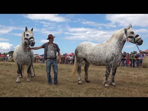 Parada cailor   Ruseni, Satu Mare 19 Iunie 2021 Nou!!!