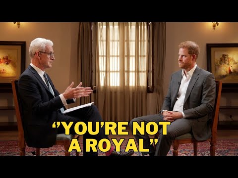 Stephen Sackur Humiliates Prince Harry On BBC HardTalk After Heated Argument