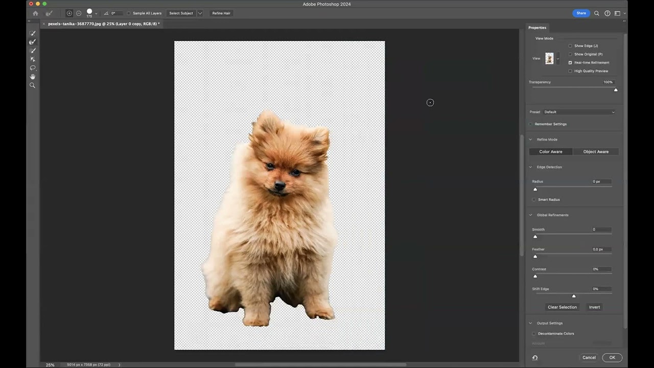 Removing background with fur - Adobe Photoshop