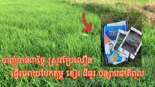 លទ្ឋផលក្រោយបាញ់៣ថ្ងៃ »បាញ់វគ្គ១