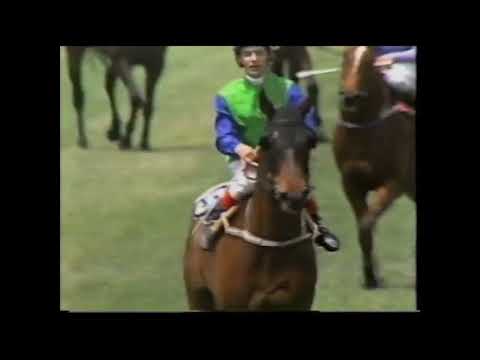 Power of Destiny - Wins on MC Day 1990