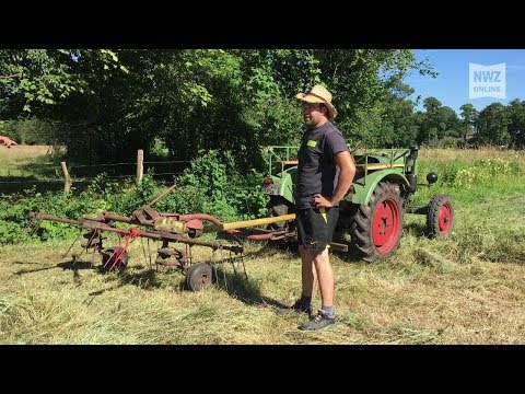 “Historic” hay harvest in Aschhauserfeld