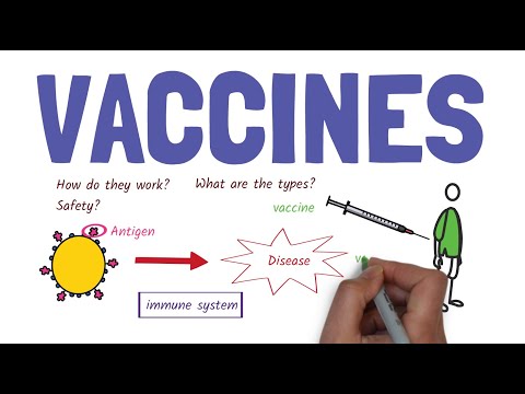 An introduction to vaccines.