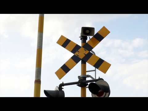 Godzilla's Revenge Locations （字幕版）