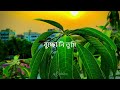 আমার দিন নাই রাত নাই Amar Din Nai Rat Nai Short Film ARSS Studio Sho