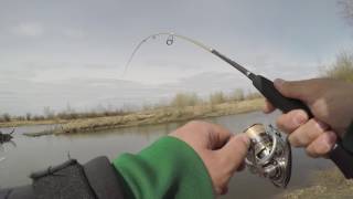 Graphiteleader aspro 702l 1 11
