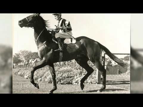 The Doncaster Mile 150th Anniversary Tribute