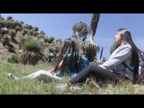 Viaje a Totos - Cangallo - Ayacucho