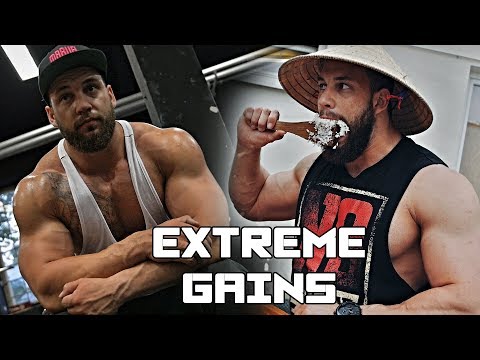 Anabolic Horse - Extreme Gains!