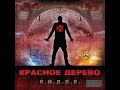 Красное Дерево - 31-ый Прайд 