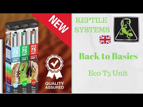 Watch Video on YouTube