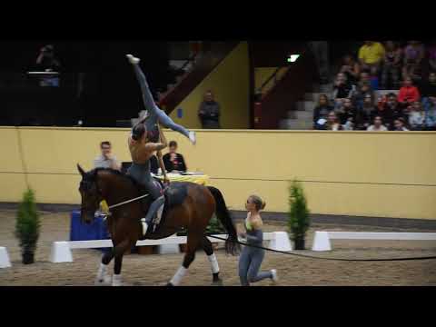 CVI Flyinge 2018 Junior Team Krumke 2