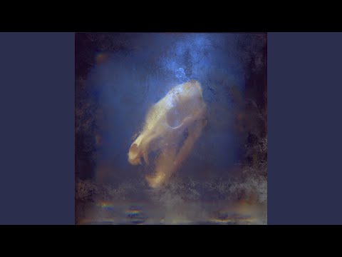 Kyle Nuetzel And Joe Mecchi - Say Goodbye - Misc Originals