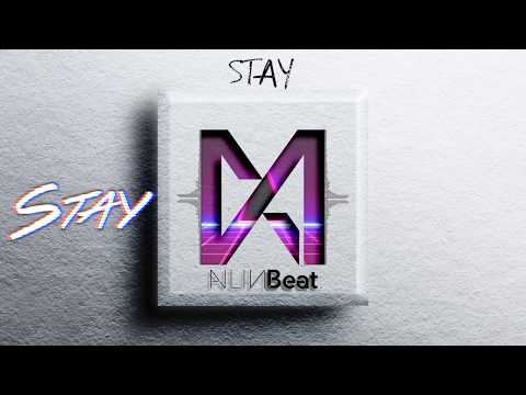 (FREE) Dua Lipa X David Guetta Type Beat "Stay" Pop Radio instrumental 2018
