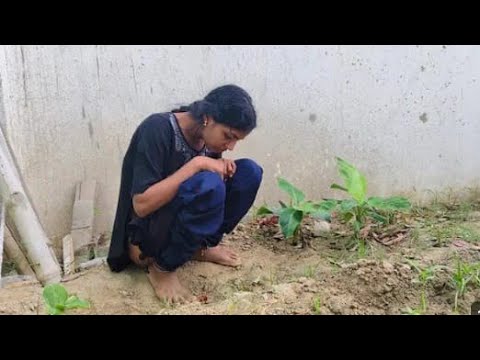 XXL XXL XXL XXL FREESTYLE 2024 |XXL 2024 | Xxwd5000xa | XXL XXL XXL XXL FREESTYLE