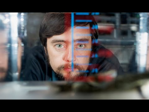 Michael Levin: Anatomical decision-making by cellular collectives