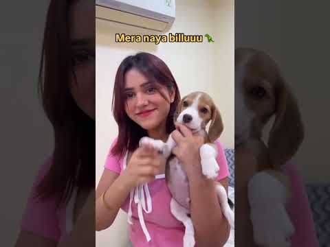 Kaisa lga blue? #viralvideo #funny #relatable #youtubeshorts