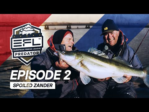Spoiled Zander - Episode 2 EFL 2023