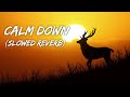 Rema Selena Gomez Calm Down Slowed Reverb New Slow Song Ashanabi Office
