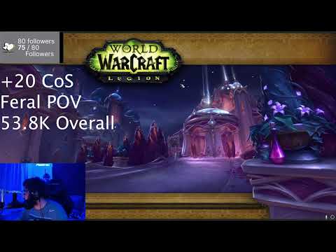 +20 CoS Feral POV (World of Warcraft Dragonflight)