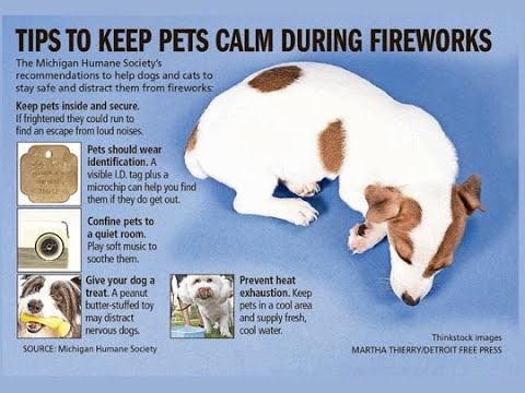 When is Austin's fireworks show and symphony celebration? | kvue.com