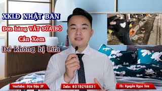 Đơn hàng kỹ sư chăn nuôi Nhật Bản có tốt không? Lương cao không?