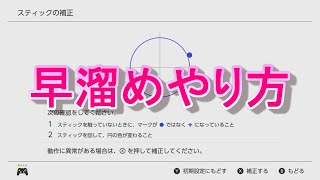早溜めのやり方－マリオカート8DXテクニック解説1