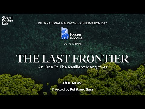 The Last Frontier: An Ode to the Resilient Mangroves | Full Film