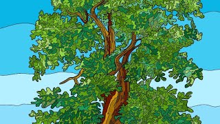 ? Happy Color | Gameplay e Dicas Incríveis!