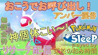 ラストチャンス！【#ポケスリ】ラティアス厳選！おこうはまだ回収できるのだ！【#ポケモンスリープ】５体目狙い！アンバー渓谷+３１％Plus+所持。無課金のんびりPokémonSleep実況♪
