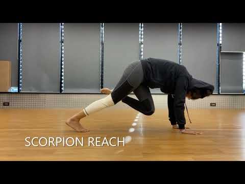 ANIMAL FLOW BY HARSHALA CHHEDA- PERFORMING MOVES