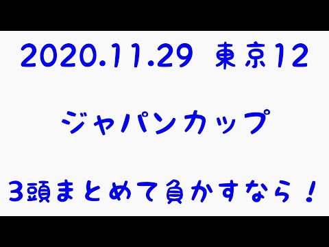 【2020.11.29 東京12ジャパンカップ】3頭まとめて負かす！