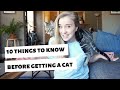 10 Things I WISH I Knew BEFORE Getting A Cat Kitten