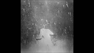 The Alpha Is Destroyed