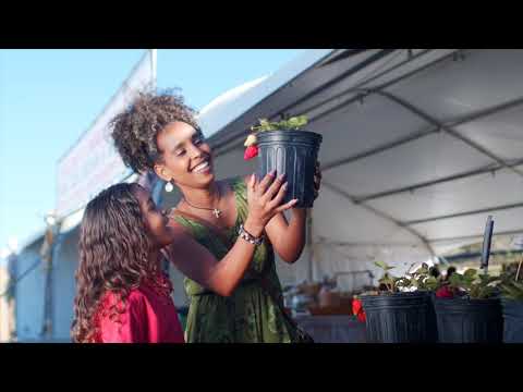 Top Ten Reasons to Grow Food & Medicine - Jim Gale of Food forest Abundance