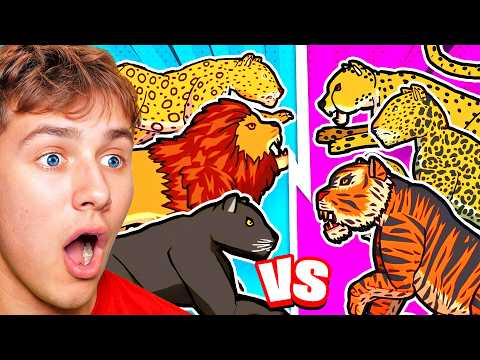 What Is The STRONGEST CAT in The WILD? (tournament)