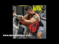 Preacher Curls - Larry Scott Biceps Curls Machine